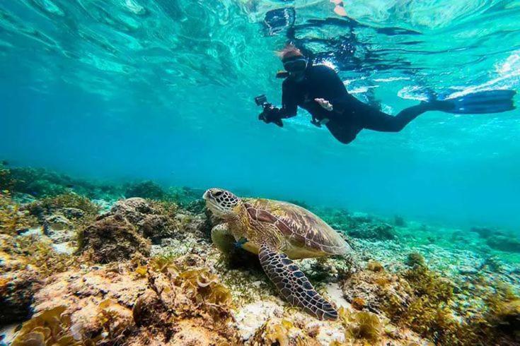 Gaja Go Dive & Inn Moalboal Exterior foto